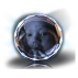 Charm Series