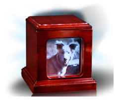 Pet Urn Series