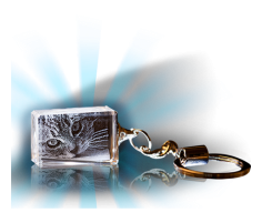 Key Chain Series